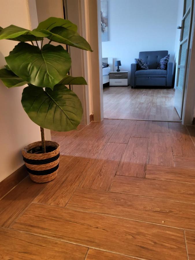 Rijeka Apartment With Free Parking And Large Balcony Dış mekan fotoğraf